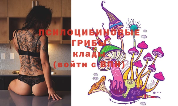 2c-b Строитель