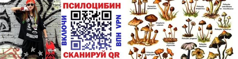 МЕГА tor  Буйнакск  Галлюциногенные грибы ЛСД 