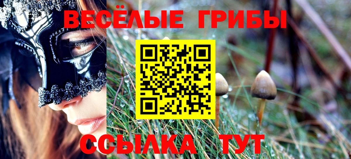 Псилоцибиновые грибы MAGIC MUSHROOMS  купить наркотики цена  Буйнакск  Галлюциногенные грибы Psilocybe  Вход с VPN 