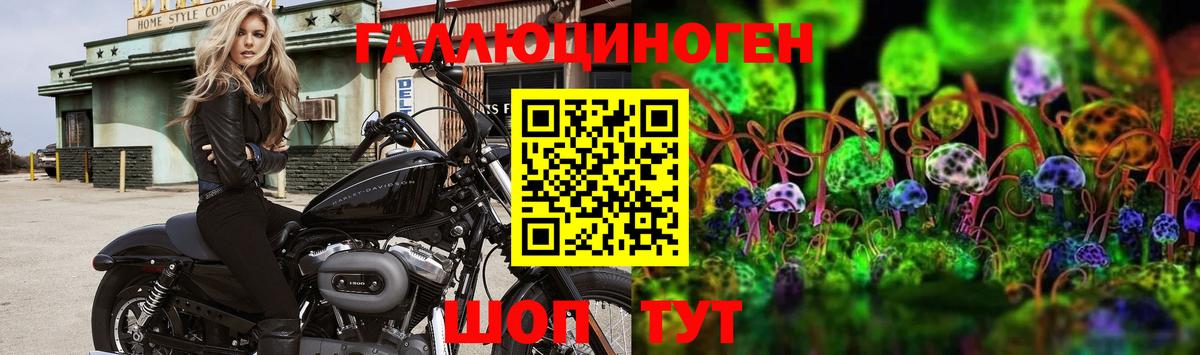 Галлюциногенные грибы Magic Shrooms Буйнакск